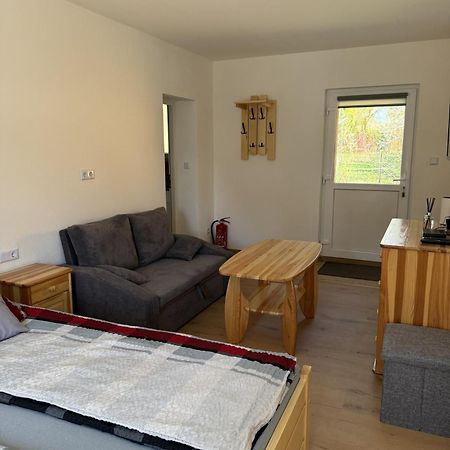Gnapowka Appartement Zawoja Buitenkant foto